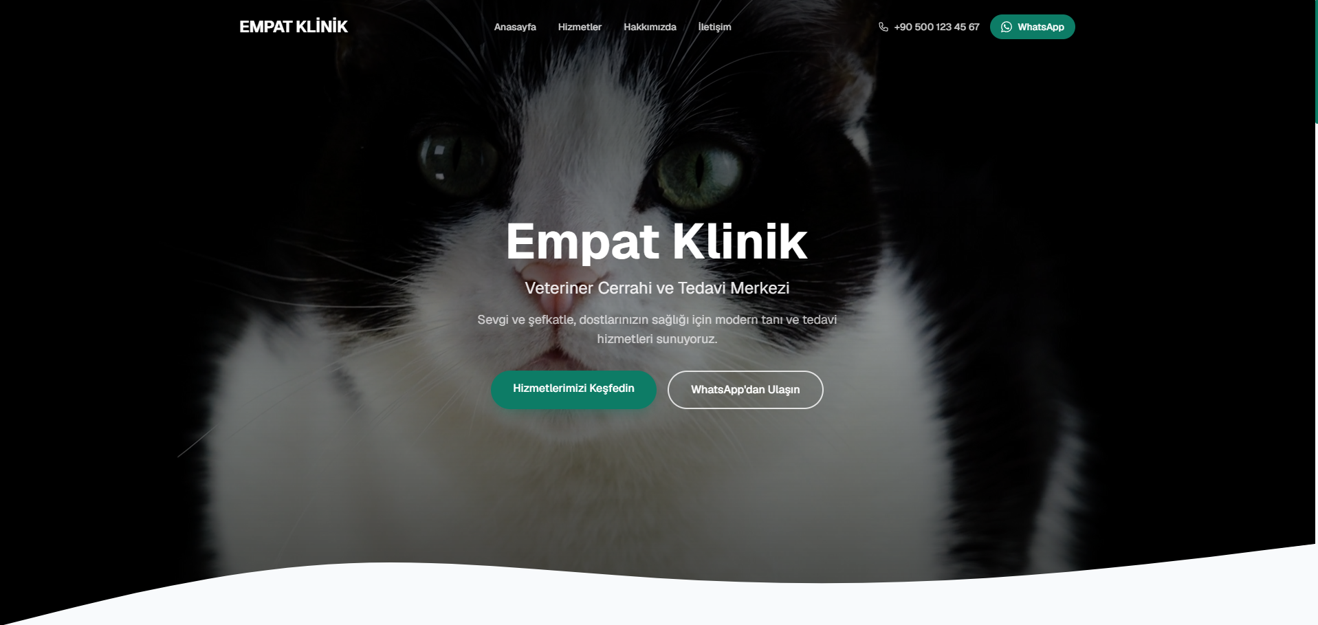 Empat Veteriner Kliniği web sitesi önizlemesi